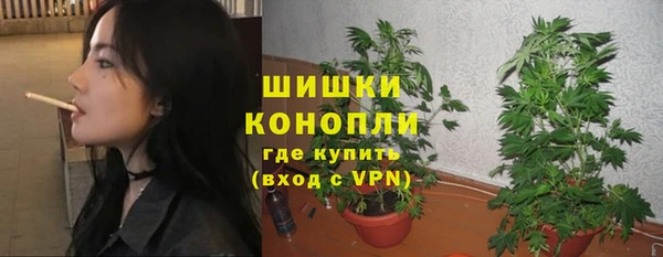 MDMA Новодвинск